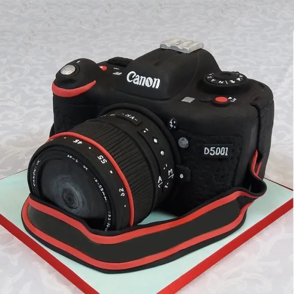 Camera Birthday cake | | greenevillesun.com