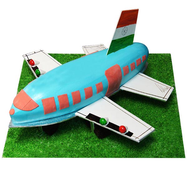 Buy Aeroplane Cake Online In India - Etsy India